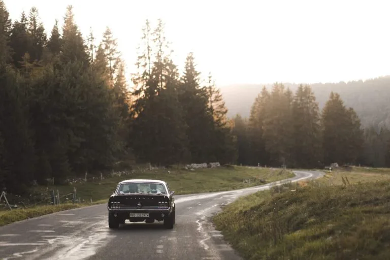 Vue arrière d'une voiture ancienne noire sur une route sinueuse en forêt