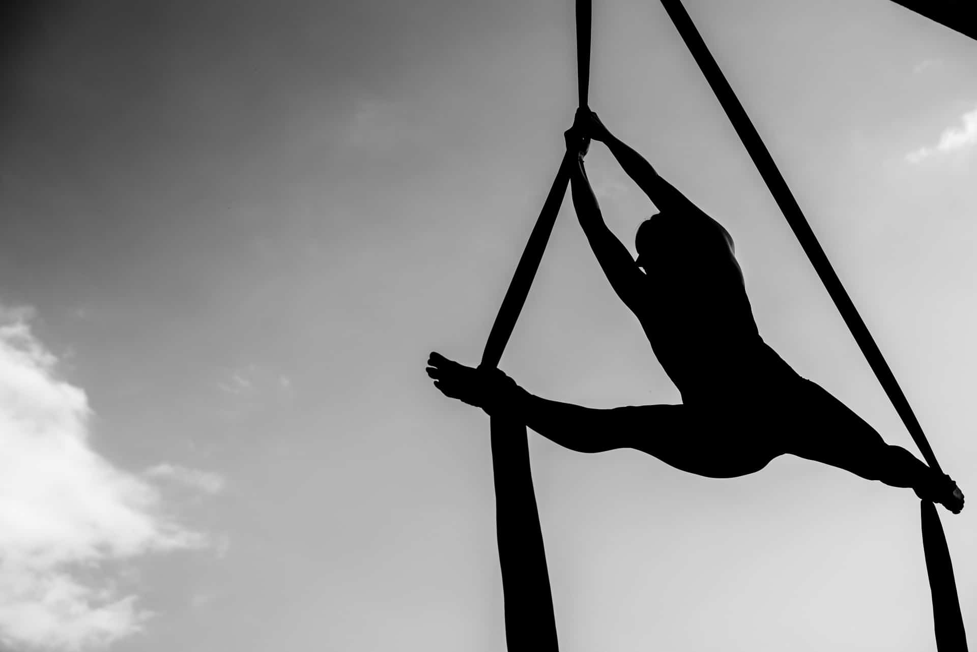 Une surprise de la soeur de la mariée: un spectacle d'acrobaties!